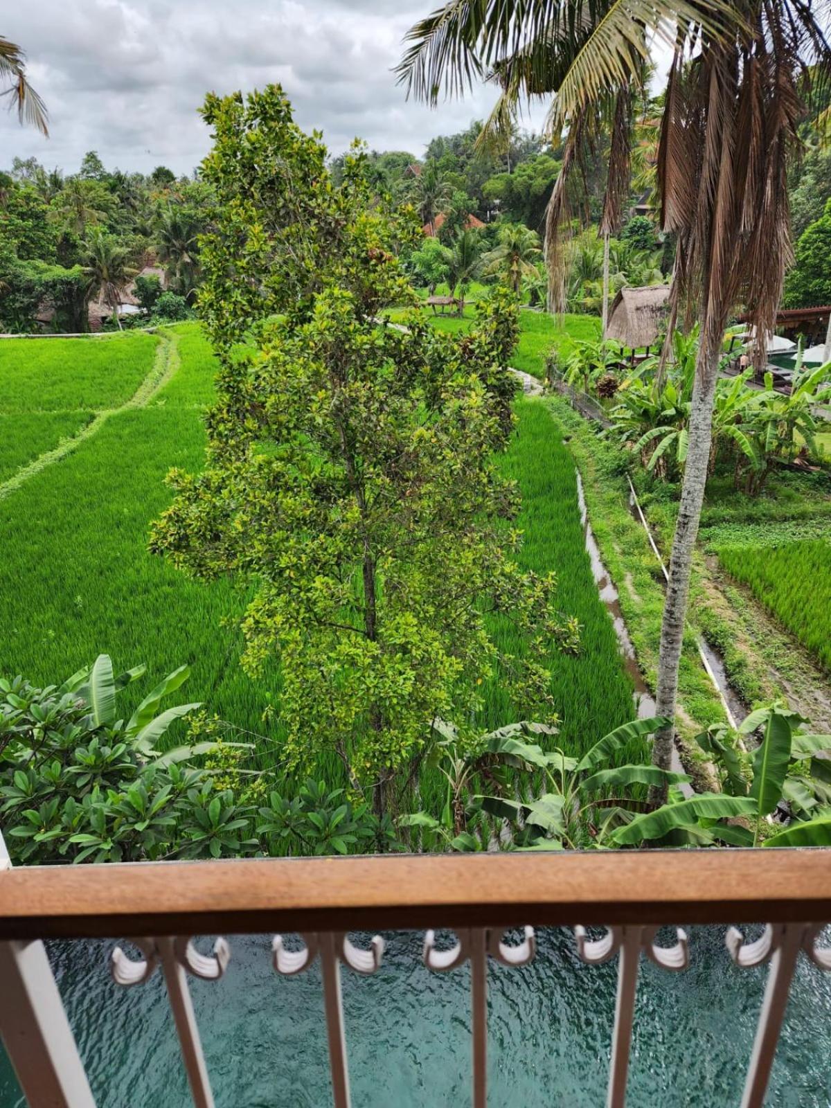 Motama Villa Ubud  Exterior photo
