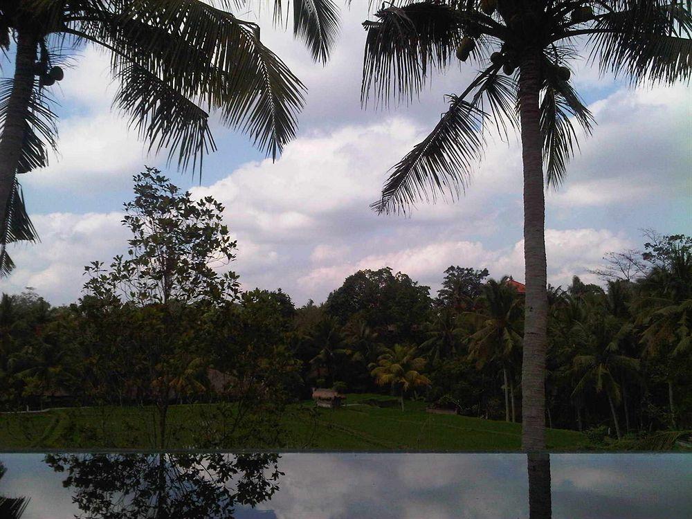 Motama Villa Ubud  Exterior photo